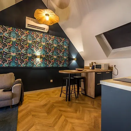 Apartment L'oree Champenoise - 3 Luxe 8 A 10 Personnes Champfleury (Marne)