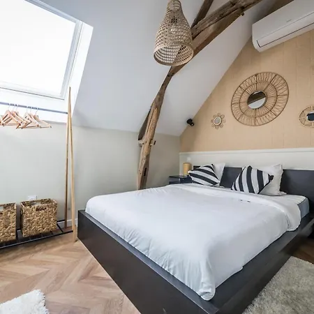 Apartment L'oree Champenoise - 3 Luxe 8 A 10 Personnes Champfleury (Marne)